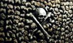 Voir la critique de Catacombe