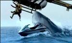 Voir la critique de La Chasse au requin tueur