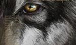 Le Crépuscule des Loups : anthologie dirigée par Charlotte Bousquet