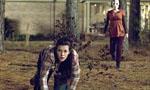 Voir la critique de The Strangers