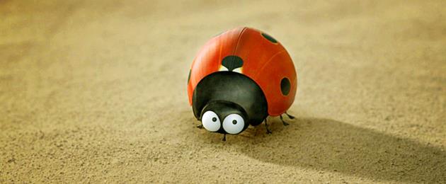 Minuscule : La Vie privée des insectes S1E57 Torpédo (Saison 1 épisode ...