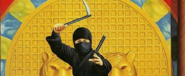 Orbus : La Voie du Tigre : Ninja [2016]