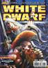 White Dwarf - N°147