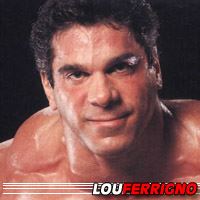 Lou Ferrigno  Acteur, Doubleur (voix)