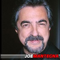 Joe Mantegna  Acteur, Doubleur (voix)